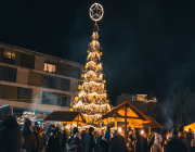 Huber_Baugeschft_Weihnachtsbaum_Bild01