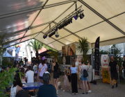 Freestyle_Night_2025_Bild_04