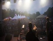 Werdinsel_Openair_2025_Bild_07